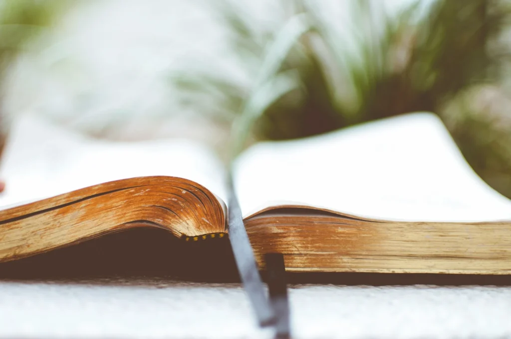 Biblia vista frontal